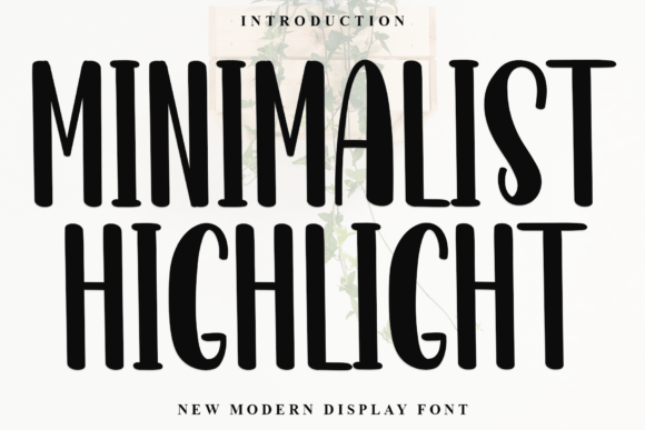 Minimalist Highlight: A Designer's Real-World Review
