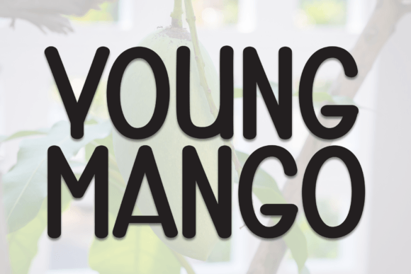 Young Mango: The Bold Display Font That Elevates Small Business Branding